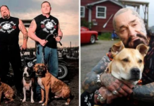 Motociclistas fecham centros de luta de cães e os resgatam