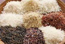 Você sabe quais tipos de arroz são sem glúten?