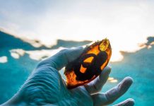 15 fatos fascinantes sobre animais que seu professor de biologia esqueceu de lhe contar