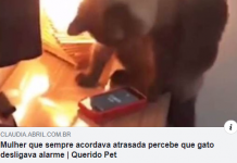 13 Manchetes mais bizarras do jornalismo brasileiro #17