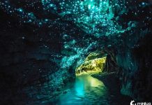 15 Fotos naturais que você não acreditará que não tem Photoshop