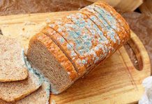 Alimentos mofados são perigosos? Nem sempre!