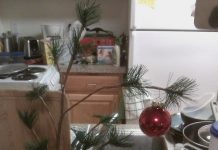 15 exemplos hilariantes de decoração para o Natal