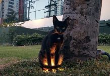 15 fotos que mostram um lado estranho do mundo