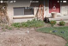 13 momentos engraçados capturados pelas câmeras do Google Street View