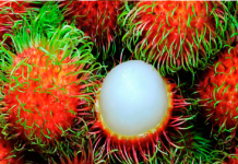 9 frutas exóticas nutritivas que vale a pena experimentar!