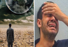 Más notícias: os homens estão em perigo de extinção devido às mudanças climáticas