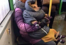 13 coisas mais estranhas que as pessoas vistas no transporte público