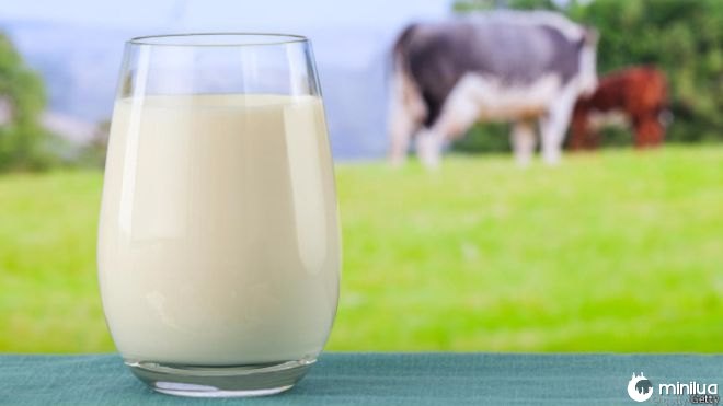 Resultado de imagem para leite