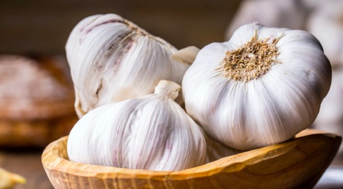 Alimentos com poder de cura: os benefícios do alho