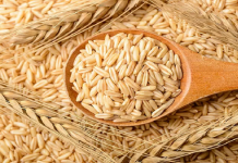 As pessoas com diabetes podem comer arroz integral?