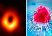 Os 5 avanços científicos mais importantes que abriram nossos olhos para o mundo nesta década