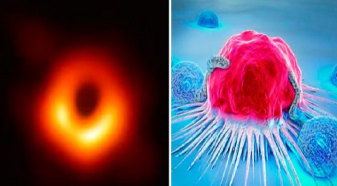 Os 5 avanços científicos mais importantes que abriram nossos olhos para o mundo nesta década