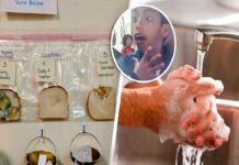 Experimento mostrou a importância de lavar as mãos