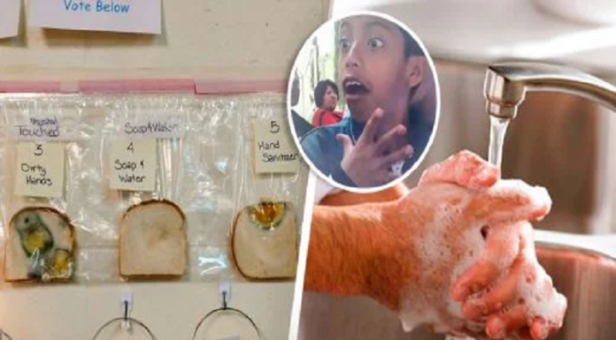 Experimento mostrou a importância de lavar as mãos