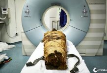 Múmia egípcia antiga foi "trazida de volta à vida" depois que os cientistas britânicos recriaram sua voz
