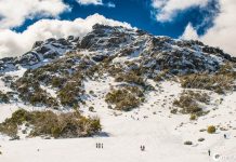 10 fatos interessantes sobre a Austrália que irão surpreendê-lo