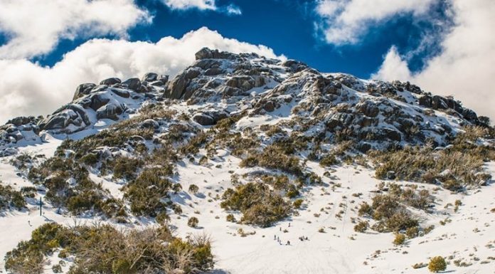 10 fatos interessantes sobre a Austrália que irão surpreendê-lo