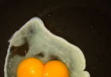 Mãe consegue algo raro ao encontrar 7 ovos com a gema dupla de uma única vez