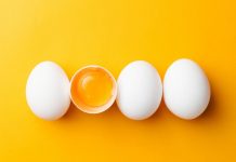 15 fatos impressionantes sobre ovos que você talvez não saiba