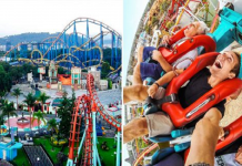 Empresa paga US $ 3.900 para você visitar parques de diversões e dar sua opinião