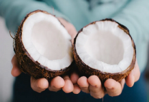 O coco é uma fruta? Quais seus benefícios para a saúde?