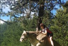 Menina que não podia ter cavalos, decide treinar vaca leiteira para saltar como um
