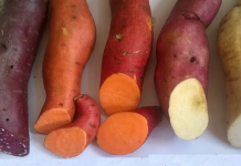 batata-doce