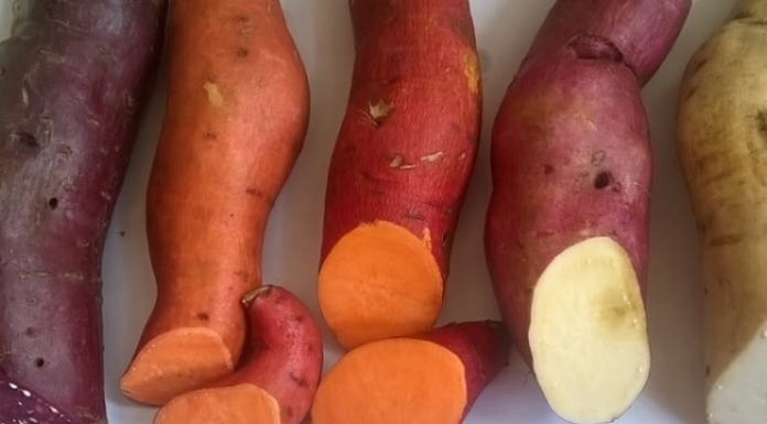 batata-doce