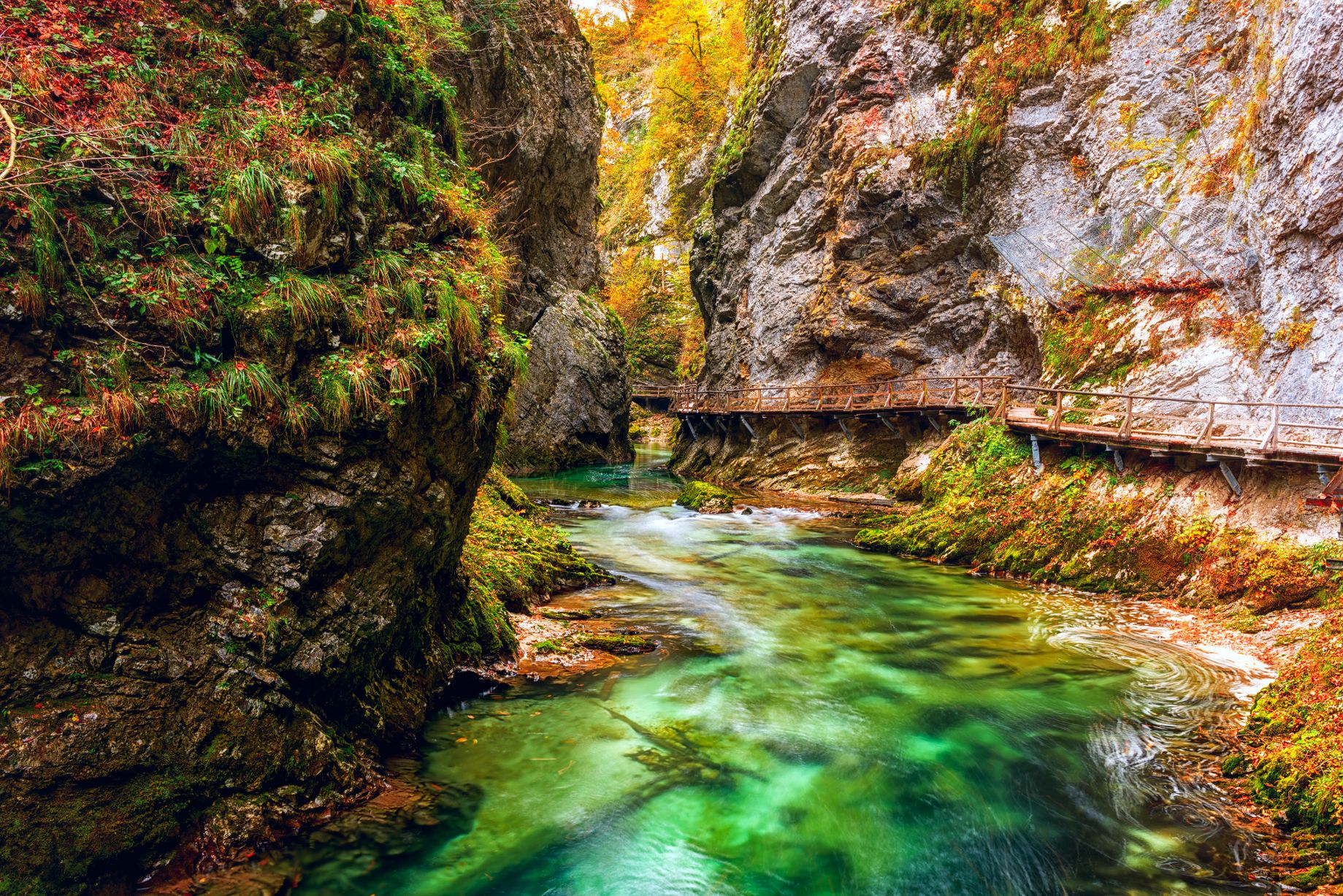 Famous Vintgar gorge in Slovenia
