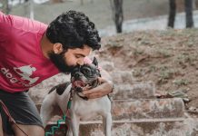 renda extra passeando com cachorros