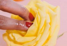 Marca de brinquedos eróticos oferece desconto e incentiva as pessoas a ficarem em casa