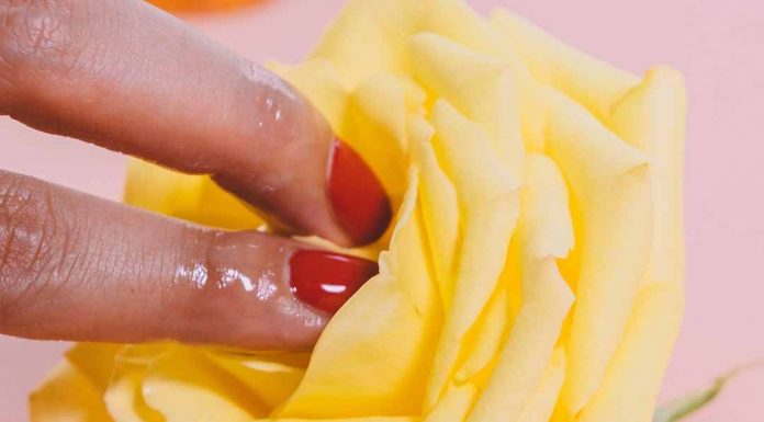 Marca de brinquedos eróticos oferece desconto e incentiva as pessoas a ficarem em casa