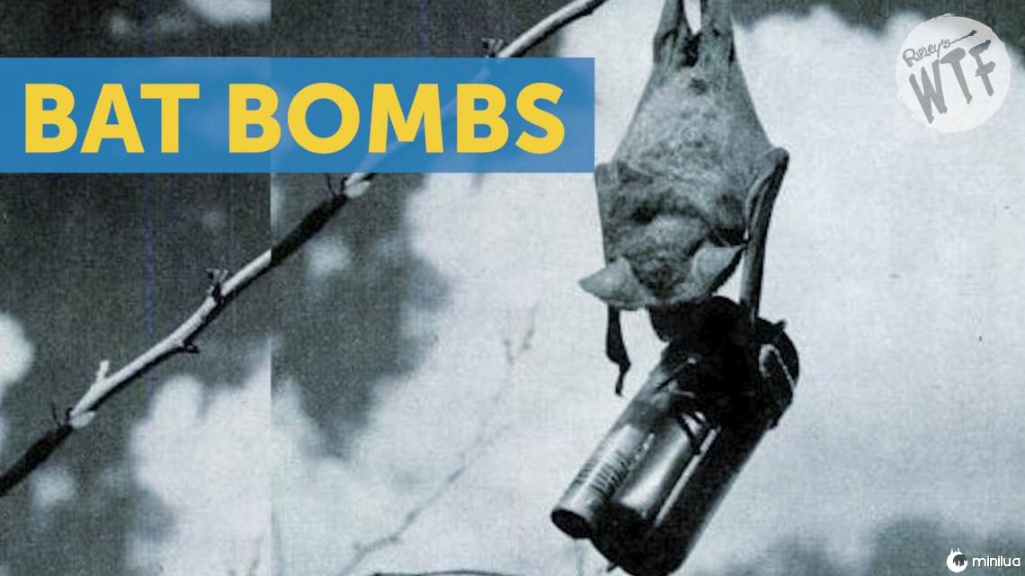 bat bombs