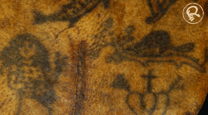 A surpreendente pele de marinheiro que foi removida e preservada com tatuagens