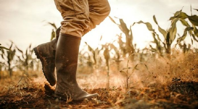 Homem disse que tem 'pé de trincheira' depois de usar um par de botas molhadas por 10 horas