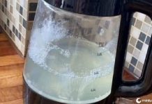 Dica simples para remover calcário das chaleiras sem comprar produtos de limpeza