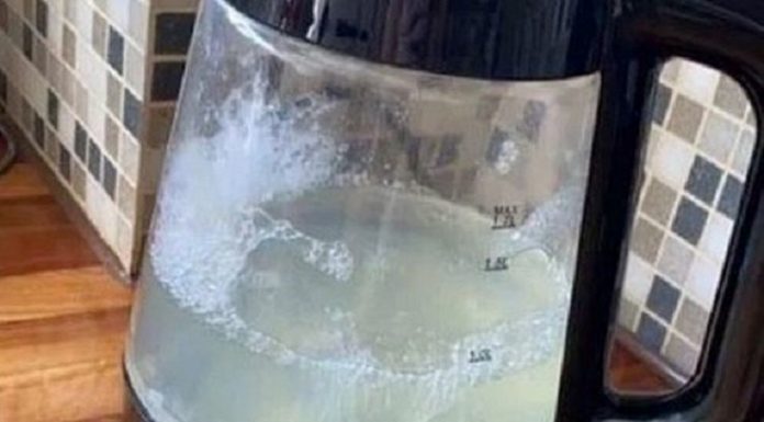Dica simples para remover calcário das chaleiras sem comprar produtos de limpeza