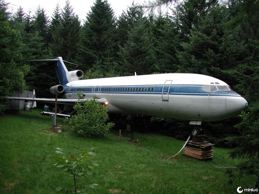plane house in woods