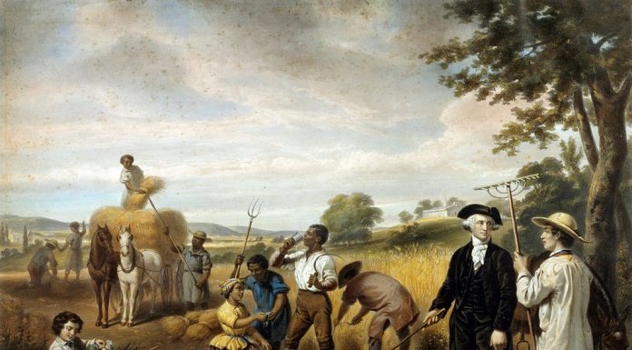 George Washington foi o pai fundador da Marijuana?