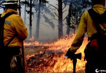 SMOKEJUMPERS: As pessoas que mergulham no meio do fogo da floresta