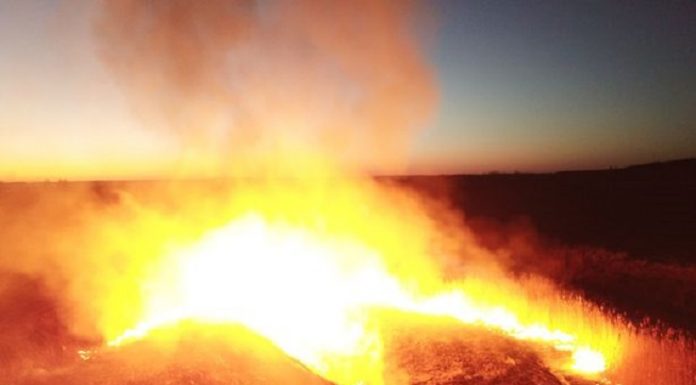 Níveis de radiação aumentam em Chernobyl enquanto incêndios florestais cercam usina