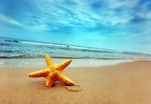 áreas promissoras para vendas no verão