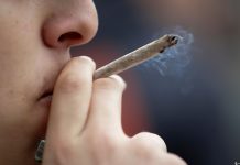 Pesquisas mostram que maconha é muito mais viciantes do que se pensava