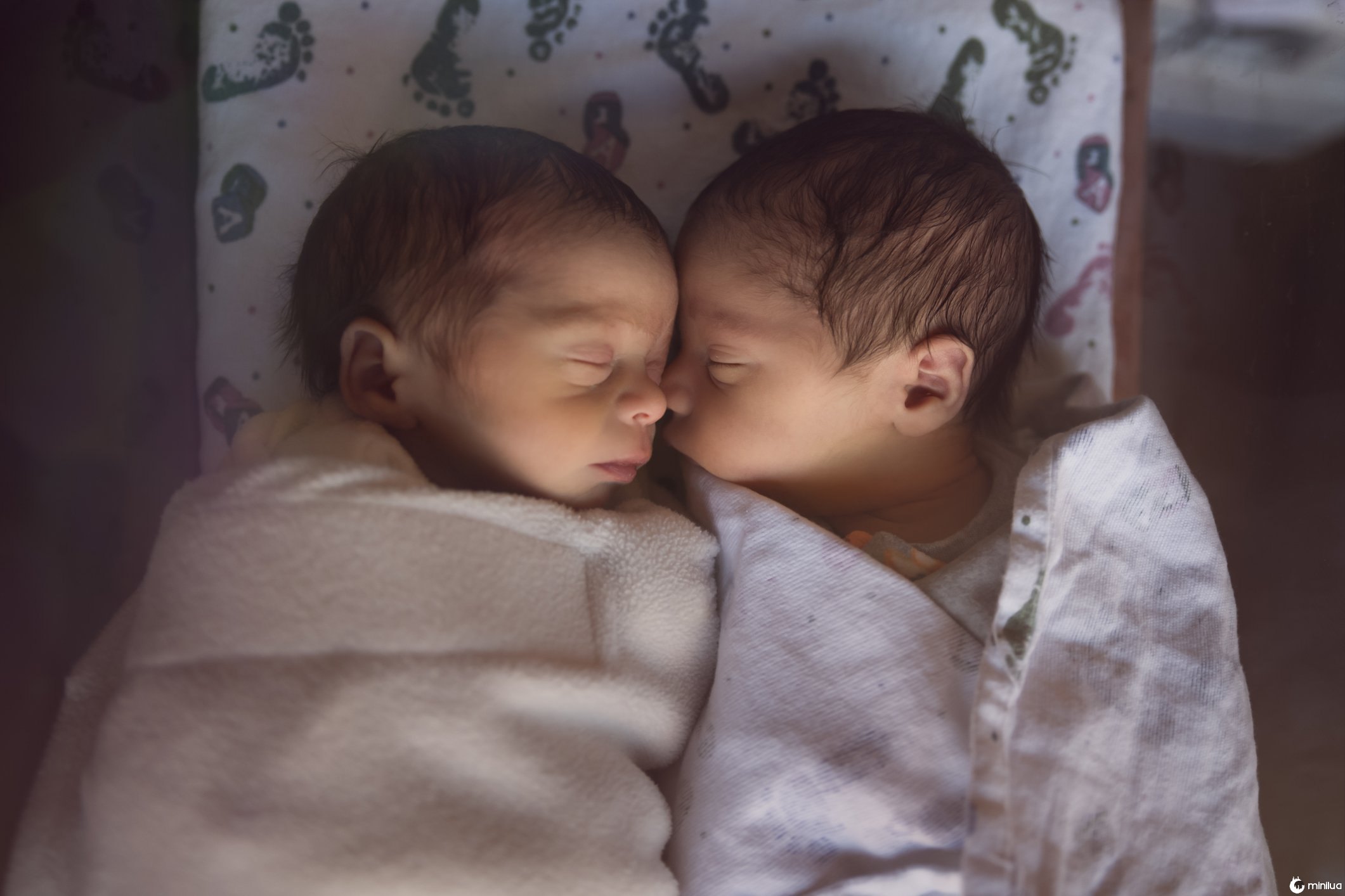 newborn male fraternal twins sleep peacefully after birth together swaddled and together in their crib.