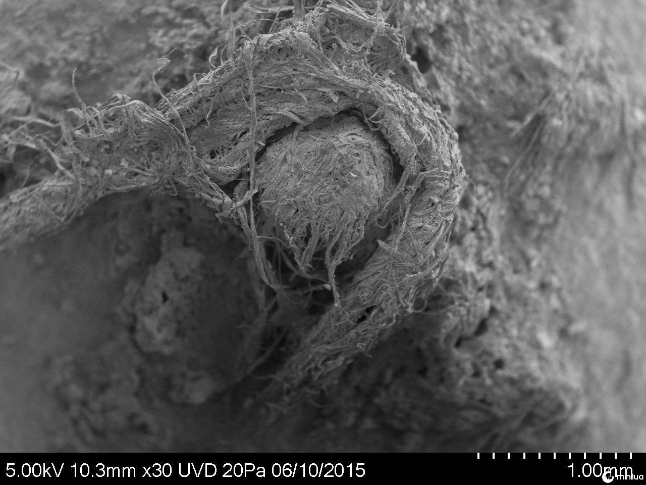 EMBARGOED TO 1600 THURSDAY APRIL 9 Undated handout photo issued by M-H Moncel/Histoire Naturelle de l?Homme Prehistorique showing a cord fragment discovered at the Abri du Maras archaeological site taken using digital microscopy as scientists have discovered what they believe to be the first direct evidence of yarn making, dating back more than 40,000 years. PA Photo. Issue date: Thursday April 9, 2020. See PA story SCIENCE Cord. Photo credit should read: M-H Moncel/Histoire Naturelle de l?Homme Prehistorique/PA Wire NOTE TO EDITORS: This handout photo may only be used in for editorial reporting purposes for the contemporaneous illustration of events, things or the people in the image or facts mentioned in the caption. Reuse of the picture may require further permission from the copyright holder.