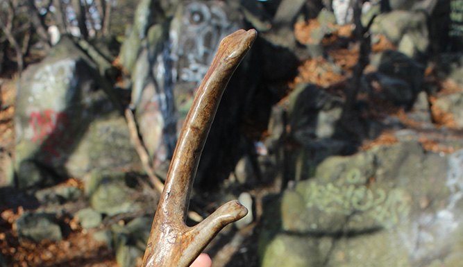 Os misteriosos unicórnios gerados pela natureza