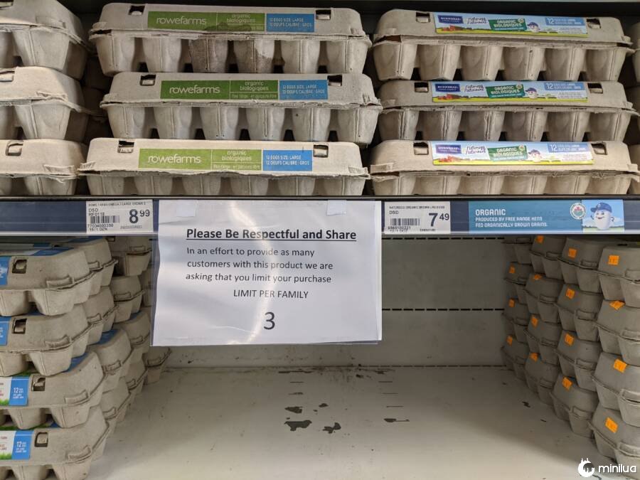 Emtpy Supermarket Egg Shelves