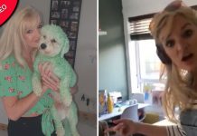 Filha secretamente tinge cachorro verde da família - e a reação de sua mãe não tem preço
