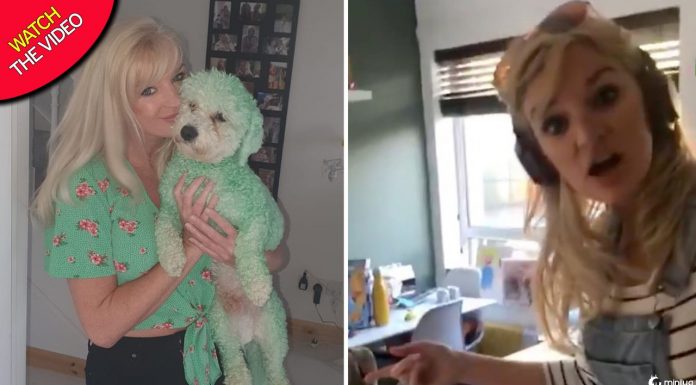 Filha secretamente tinge cachorro verde da família - e a reação de sua mãe não tem preço